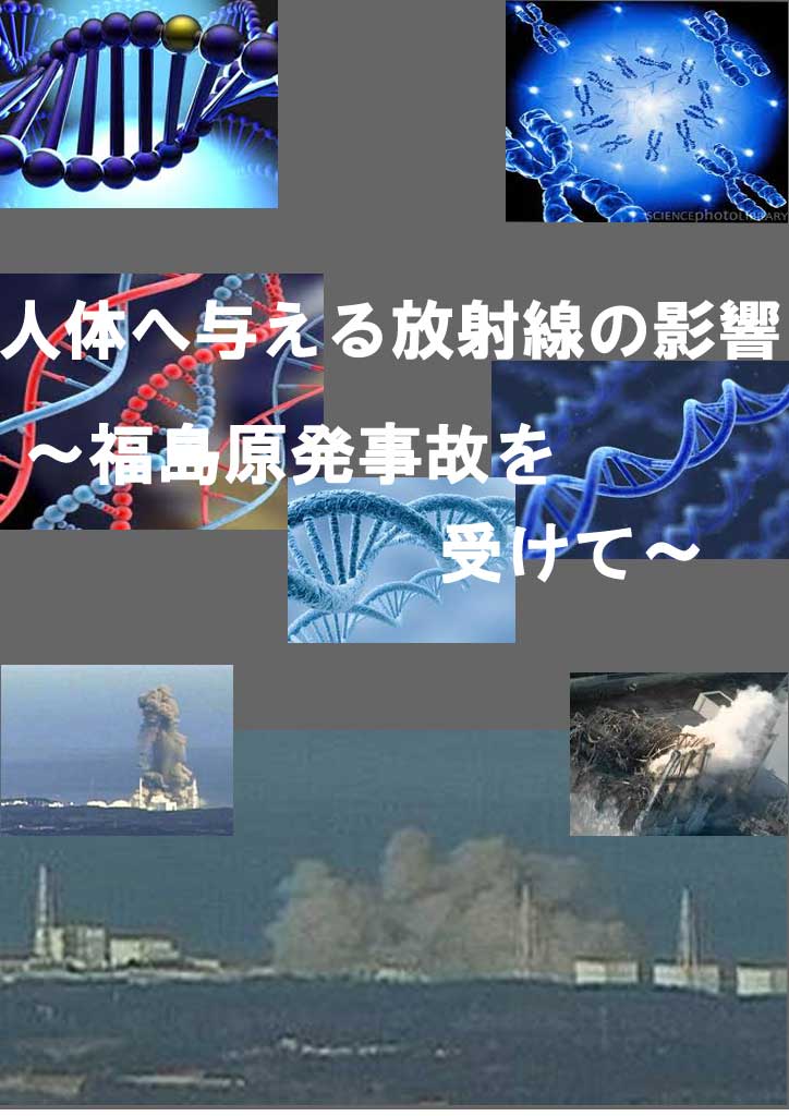 Fukushima Daiichi nuclear disaster